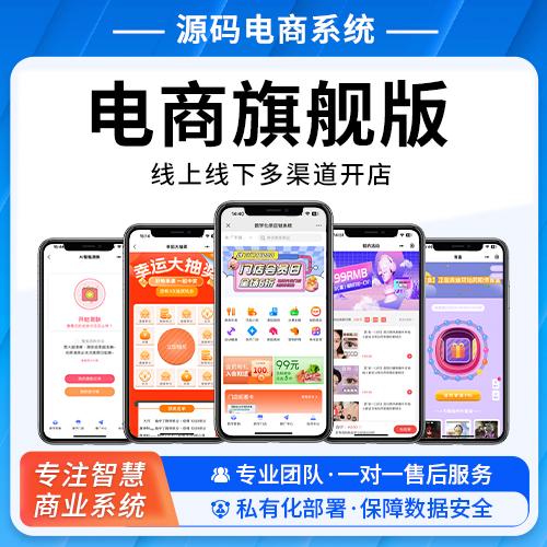 电商旗舰版 线上线下多渠道开店 
